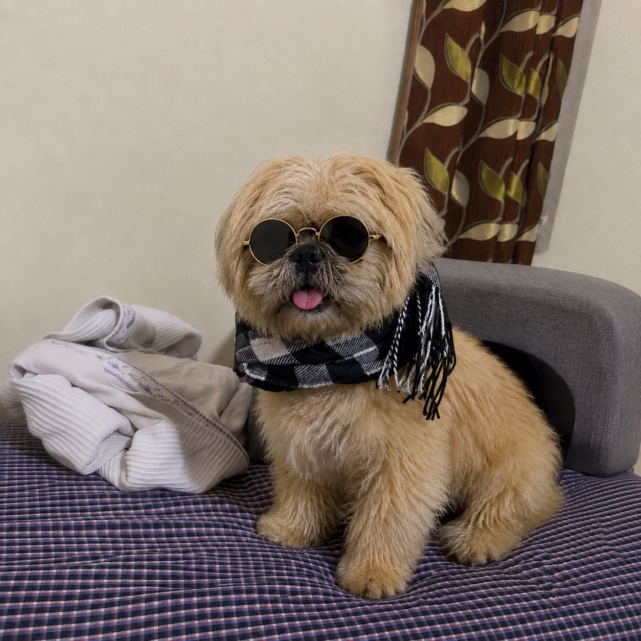 Chief Happiness Officer wearing round sunglasses and a scarf