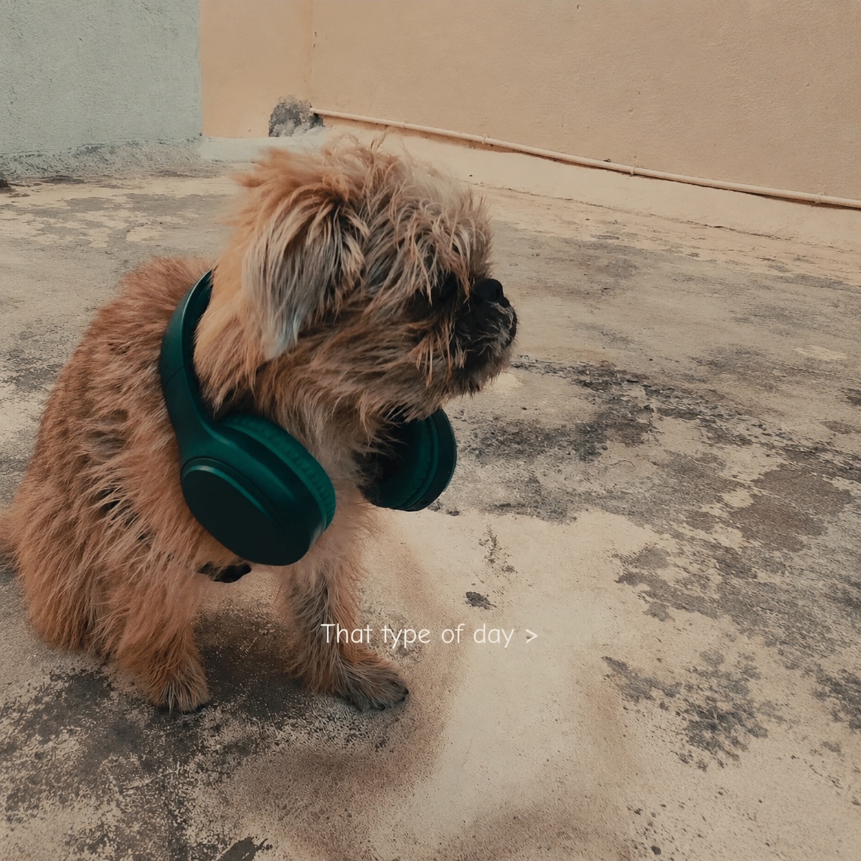 Chief Happiness Officer wearing headphones outside